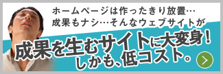 ホームページは作ったきり放置…成果もナシ…そんなウェブサイトが成果を生むサイトに大変身！しかも、低コスト。